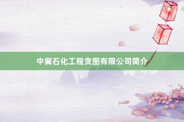 中冀石化工程贪图有限公司简介