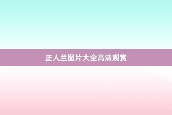 正人兰图片大全高清观赏