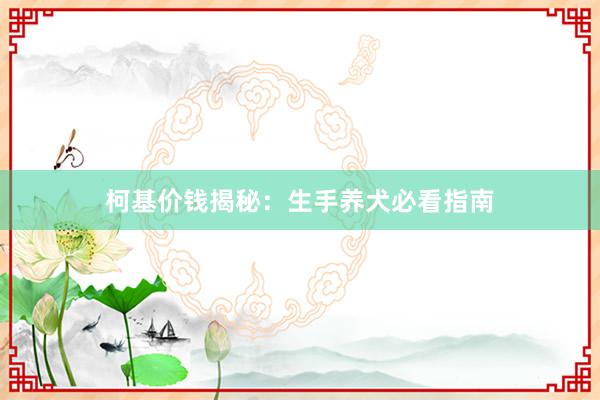 柯基价钱揭秘：生手养犬必看指南