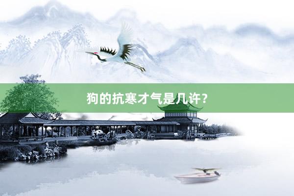 狗的抗寒才气是几许？