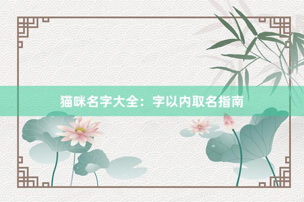 猫咪名字大全：字以内取名指南